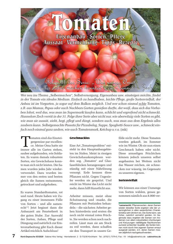 Tomaten - Eigenanbau